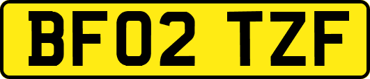 BF02TZF