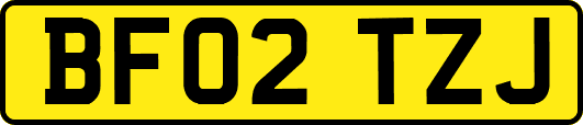 BF02TZJ