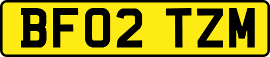 BF02TZM