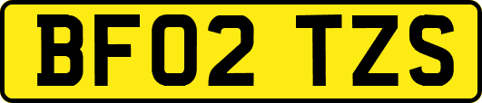 BF02TZS