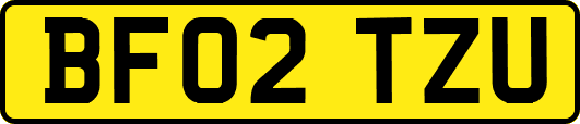 BF02TZU