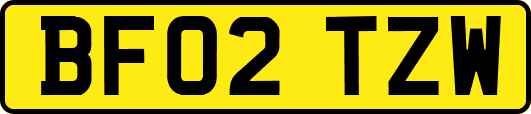 BF02TZW