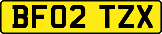 BF02TZX