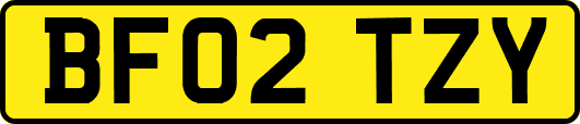 BF02TZY