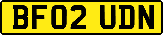BF02UDN