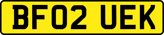 BF02UEK