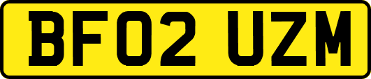 BF02UZM