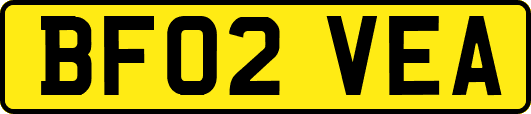 BF02VEA
