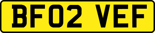 BF02VEF