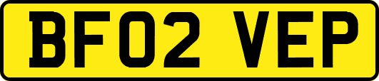 BF02VEP