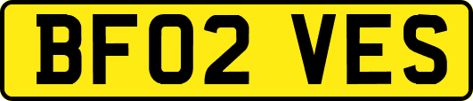 BF02VES