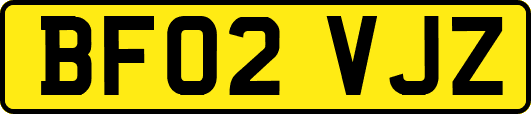 BF02VJZ