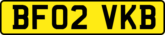 BF02VKB