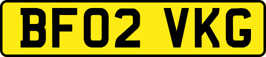 BF02VKG