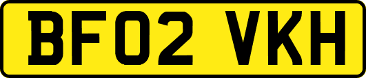 BF02VKH