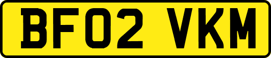 BF02VKM