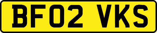 BF02VKS