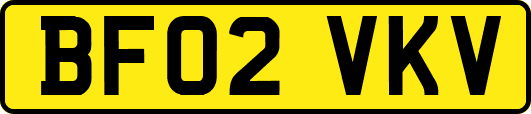 BF02VKV
