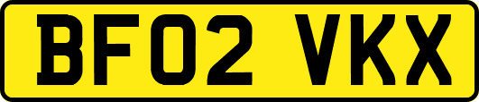 BF02VKX