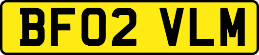 BF02VLM