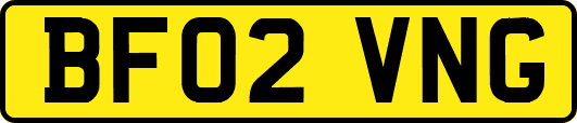 BF02VNG