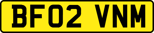 BF02VNM