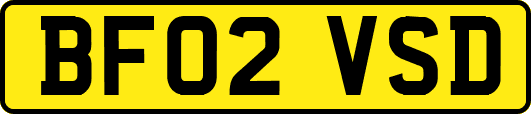 BF02VSD