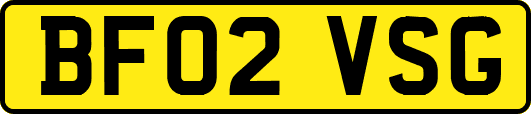BF02VSG