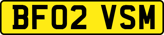 BF02VSM