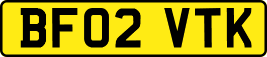 BF02VTK