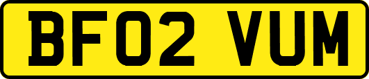 BF02VUM