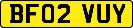 BF02VUY
