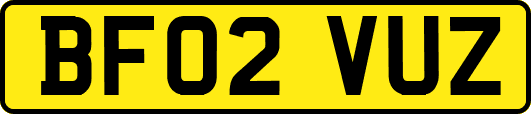BF02VUZ