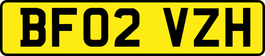 BF02VZH