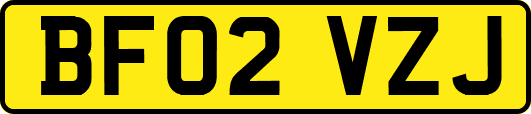 BF02VZJ