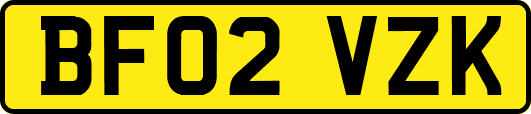 BF02VZK
