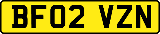 BF02VZN