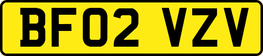 BF02VZV
