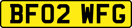BF02WFG