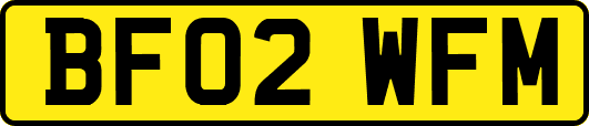 BF02WFM