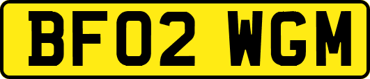 BF02WGM