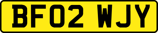 BF02WJY