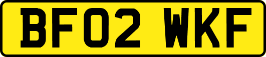 BF02WKF