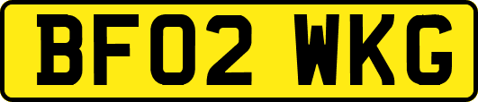 BF02WKG