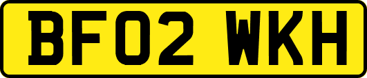 BF02WKH