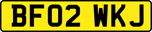 BF02WKJ