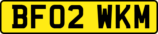 BF02WKM