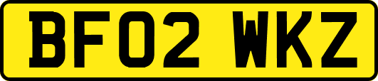 BF02WKZ