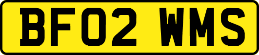 BF02WMS