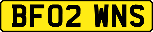 BF02WNS